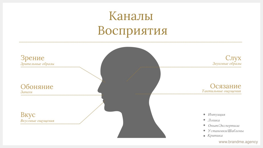 Каналы восприятия